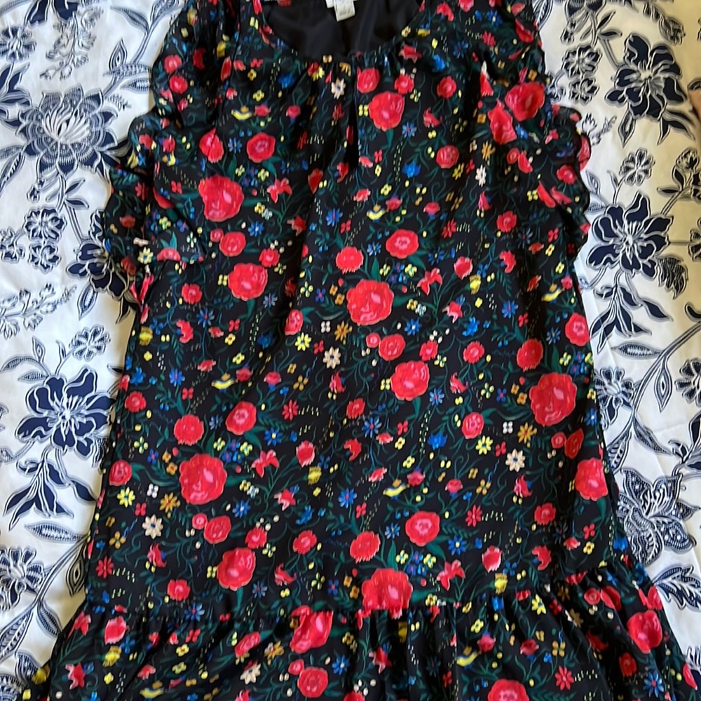 Jcrew size 2 dress with button front closure, ruffled hem and sleeves